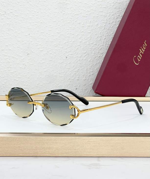 Picture of Cartier Sunglasses _SKUfw79280706fw